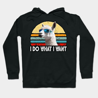 Retro I Do What I Want Funny Llama Lovers Hoodie